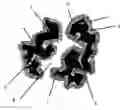 Fig. 01 - Multilayer coated particle filter