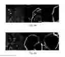 Fig. 04 - Adsorbent composition and use thereof