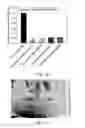 Fig. 14 - Adsorbent composition and use thereof