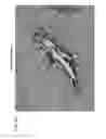 Fig. 09 - Selective delivery of material to cells