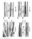 Fig. 11 - Method and apparatus for manipulating particles