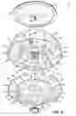 Fig. 06 - Fixed angle centrifuge rotor having torque transfer members