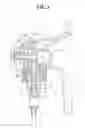 Fig. 04 - Trigger-type pump dispenser