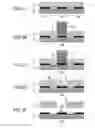 Fig. 02 - Deposition mask, producing method therefor and forming method for thin film pattern