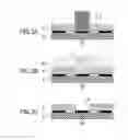 Fig. 04 - Deposition mask, producing method therefor and forming method for thin film pattern