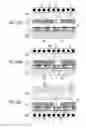 Fig. 43 - Deposition mask, producing method therefor and forming method for thin film pattern