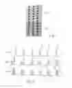Fig. 04 - Method for machining a workpiece by a laser beam, laser tool, laser machine, machine controller