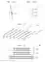 Fig. 09 - METHOD OF MANUFACTURING A HEAT-TRANSFER STRUCTURE