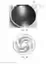 Fig. 05 - POLISHING HEAD AND POLISHING PROCESSING DEVICE