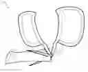 Fig. 01 - Hand-held shearing device