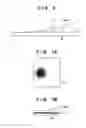 Fig. 06 - Imprint apparatus, imprint method, and method of manufacturing article