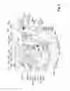 Fig. 03 - Horizontal transverse sealing station