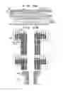 Fig. 12 - Element substrate and liquid discharge head
