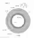 Fig. 04 - NON-PNEUMATIC TIRE