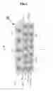 Fig. 03 - Radial tire having a lightweight belt structure