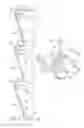 Fig. 03 - PRESSURE RELIEF VALVE FOR A VEHICLE