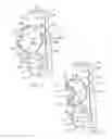 Fig. 04 - Child restraint with cupholder