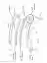 Fig. 04 - Ground illumination system for vehicle