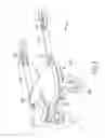 Fig. 05 - Riding board apparatus