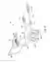 Fig. 13 - Riding board apparatus