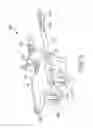 Fig. 16 - Riding board apparatus