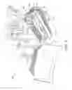 Fig. 02 - LINK ASSEMBLY FOR A TRACK