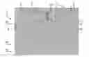 Fig. 01 - LAYER FOR REDUCING FLUID RESISTANCE