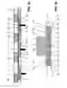 Fig. 06 - Longitudinal sealing device