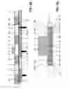 Fig. 07 - Longitudinal sealing device