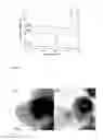 Fig. 05 - Magnesium-based hydrogen storage material and method for preparing the same