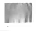 Fig. 02 - Graphite film