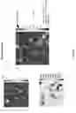 Fig. 12 - HYBRID GRAPHENE MATERIALS AND METHODS OF FABRICATION