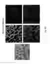 Fig. 19 - HYBRID GRAPHENE MATERIALS AND METHODS OF FABRICATION