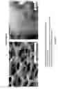 Fig. 23 - HYBRID GRAPHENE MATERIALS AND METHODS OF FABRICATION