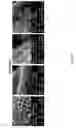 Fig. 26 - HYBRID GRAPHENE MATERIALS AND METHODS OF FABRICATION