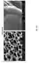 Fig. 28 - HYBRID GRAPHENE MATERIALS AND METHODS OF FABRICATION
