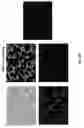 Fig. 30 - HYBRID GRAPHENE MATERIALS AND METHODS OF FABRICATION