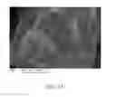 Fig. 02 - UREA FERTILIZER COMPOSITIONS COMPRISING RICE HULLS AND METHODS OF USE