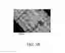 Fig. 07 - UREA FERTILIZER COMPOSITIONS COMPRISING RICE HULLS AND METHODS OF USE