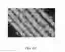 Fig. 09 - UREA FERTILIZER COMPOSITIONS COMPRISING RICE HULLS AND METHODS OF USE