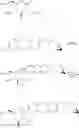 Fig. 41 - Optically pure benzyl-4-chlorophenyl-C-glucoside derivative