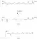 Fig. 12 - Process for preparing alkyl pyroglutamic acids