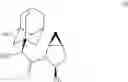 Fig. 02 - Process for preparation of saxagliptin and its hydrochloride salt