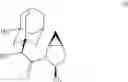Fig. 25 - Process for preparation of saxagliptin and its hydrochloride salt