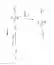 Fig. 14 - Biological Buffers with Wide Buffering Ranges