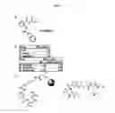Fig. 02 - COMPOUNDS FOR TREATMENT OF DRUG RESISTANT AND PERSISTENT TUBERCULOSIS
