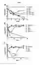 Fig. 03 - COMPOUNDS FOR TREATMENT OF DRUG RESISTANT AND PERSISTENT TUBERCULOSIS