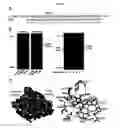 Fig. 06 - COMPOUNDS FOR TREATMENT OF DRUG RESISTANT AND PERSISTENT TUBERCULOSIS