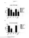 Fig. 08 - COMPOUNDS FOR TREATMENT OF DRUG RESISTANT AND PERSISTENT TUBERCULOSIS