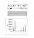 Fig. 09 - COMPOUNDS FOR TREATMENT OF DRUG RESISTANT AND PERSISTENT TUBERCULOSIS